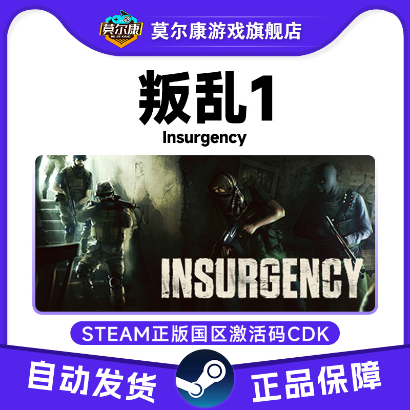 Steam 叛乱1 Insurgency 国区激活码CDKEY 正版PC游戏 现货秒发