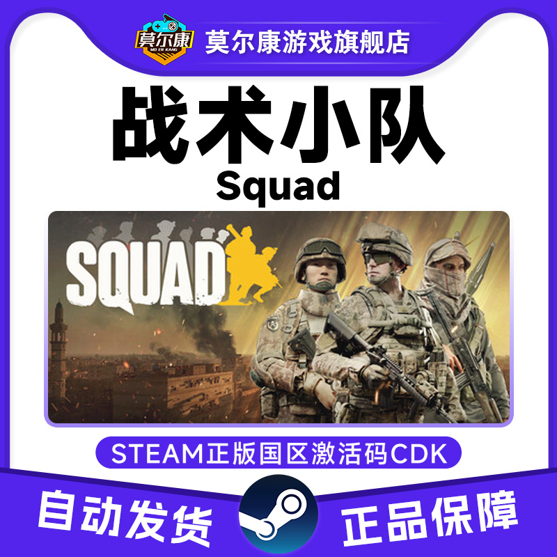steam 战术小队 Squad 国区激活码cdkey秒发 PC中文正版 现货秒发