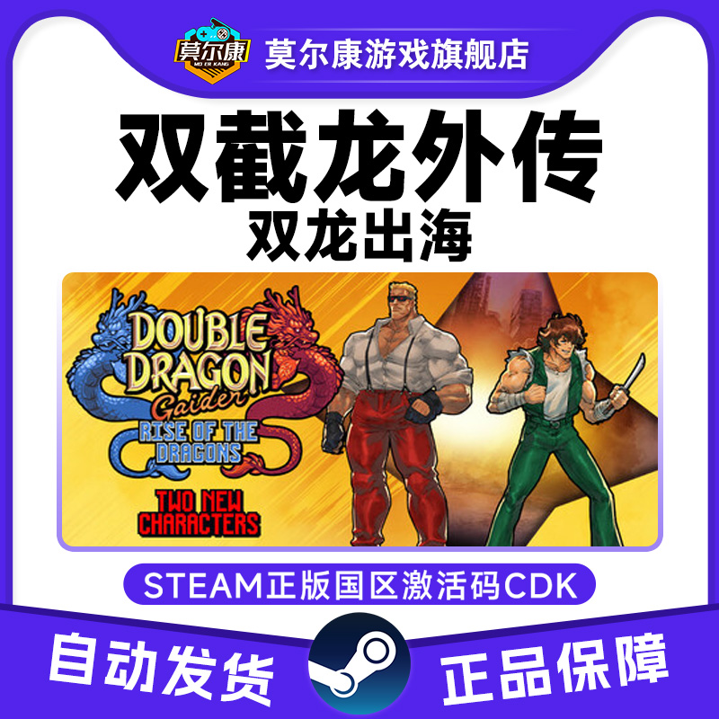 Steam正版PC中文游戏 双截龙外传 双龙出海 国区激活码CDKey