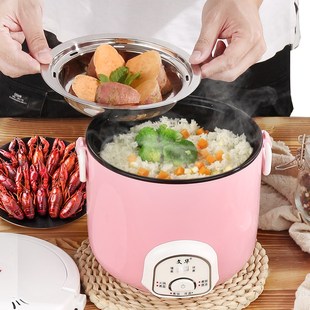文华迷你小电锅1人2人快煮锅宿舍学E生锅煮面 面锅多功能家用电电