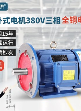 立卧式电机380v三相2/4/6级静音变频国标N全铜小型三相异步电动机