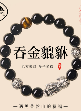 【已过香香】黑曜石貔貅银钱币球