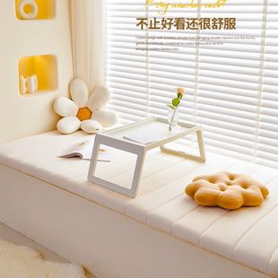 通用防水防污2023新款 泰迪绒可拆洗飘窗垫窗台垫四季 阳台改造定做