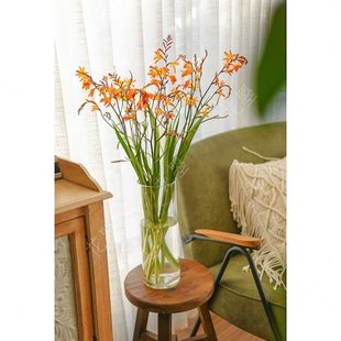 花曌 禅意插花材 火焰兰鲜花水养秋色橙红色家用鲜花东方中式 日式