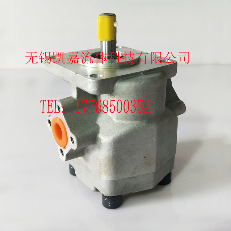 GPY-11.5R-4B/GPY-12-R 3R 4R 5R 6R 7R 8R 10R 11R GPY齿轮泵