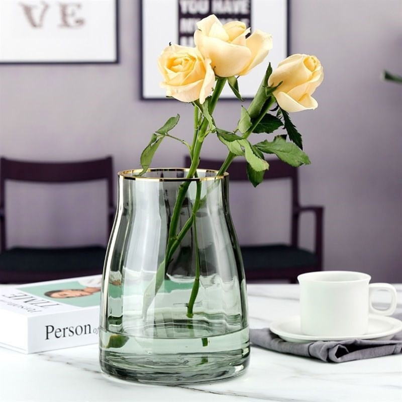 高级感轻奢玻璃花瓶摆件客厅大口径餐桌插花透明水养鲜花玫瑰花瓶