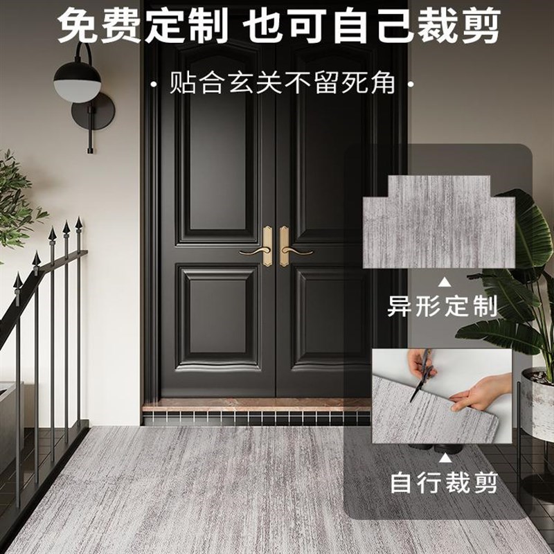 新款入户门地垫高级门口地毯门垫家用脚垫客厅防滑进门免洗可裁剪