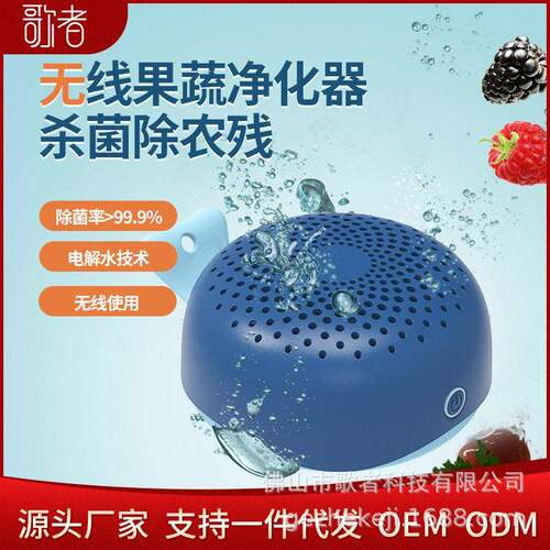 无线迷你果蔬清洗机家用水果蔬菜去农残留食材杀菌净化蔬菜清洗