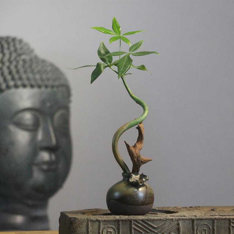 水培发财树易活茶宠小花器功夫茶道配件茶桌茶具盘小摆件室内植物