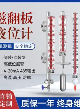 磁翻板液位计带远传变送器304水位控制磁性浮球报警开 关高温防腐