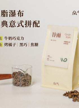 风气咖啡谷雨拼配油脂瀑布埃塞肯尼亚意式深烘水洗拼配咖啡豆200g