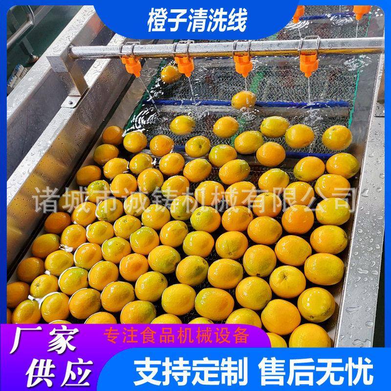 全自动伦晚橙清洗流水线商用黄桃清洗加工设备橙子气泡毛辊清洗线