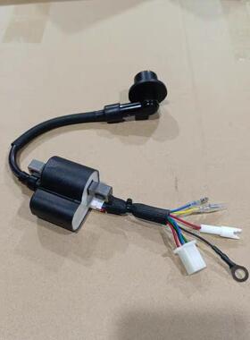 24V驻车发电机高压包148F变频静音发电机高压包点火器8线 线点火