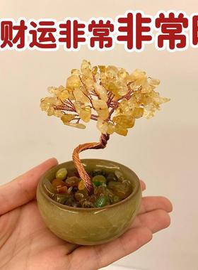 桌面财神天然水晶发财树招财摆件开业大吉生意兴隆财神爷摇钱树黄