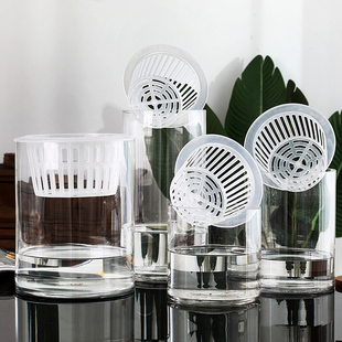 水培植物玻璃瓶子透明直筒圆柱形花瓶简约绿萝花盆白掌水养缸容器