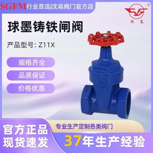 Z11X 16Q丝扣软密封闸阀球墨铸铁闸阀内螺纹弹性座封开关闸阀