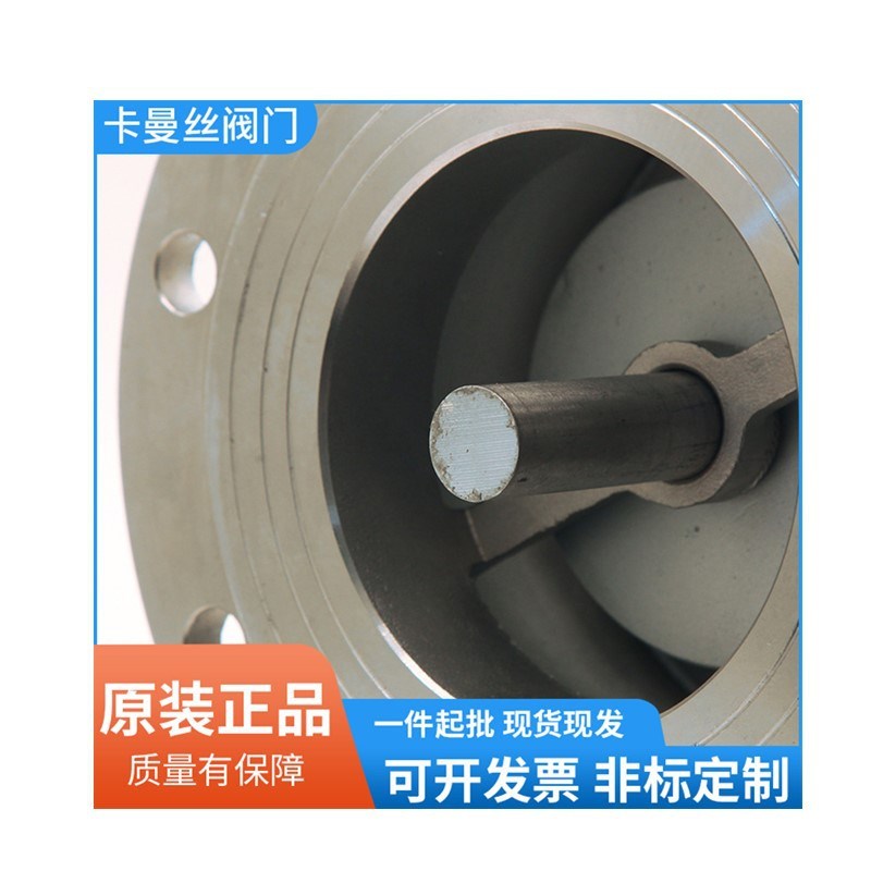 不锈钢法兰底阀H42X精工阀门单向阀铸铁水泵吸水底阀内螺纹止回阀