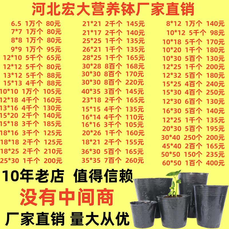 育苗营养杯育苗袋大号一次性黑色种植天麻加厚育苗杯育苗盆营养钵