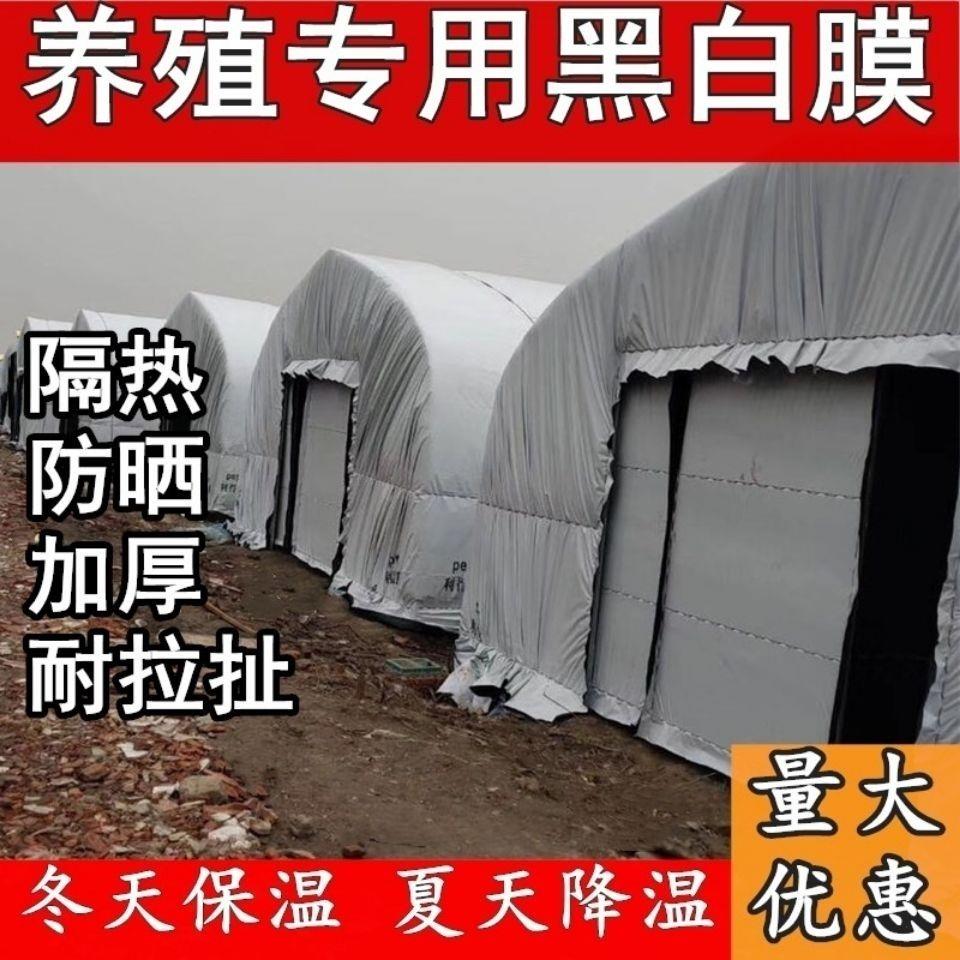 进口黑白膜加厚养殖大棚黑白反光保温膜防晒塑料布食用菌绿白膜