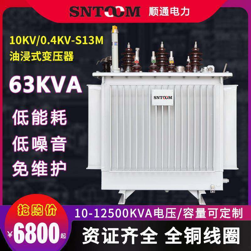 S13M大型工业油浸式电力配电变压器高压10KV250/315/400全铜63KVA