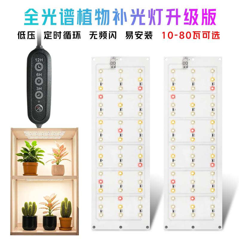 无频闪10-80瓦全光谱植物补光灯蔬菜花卉天南星兰花苔藓多肉热植
