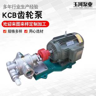 200型铸钢齿轮泵小型增压泵高粘度抽油泵 厂家供应KCB