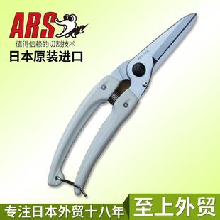 日本进口爱丽斯花剪ARS 盆景多用途剪刀 140L DX修枝剪刀园艺皮革
