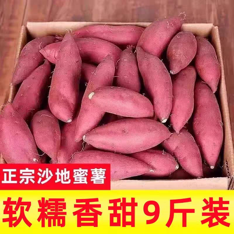 新鲜黄心蜜薯板栗红薯沙地糖心地瓜农家自种龙九番薯现挖黄心香薯