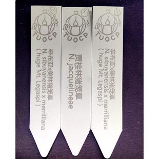 定制订制园艺多肉标签牌园艺植物花名花盆塑料标签防水小插牌多肉