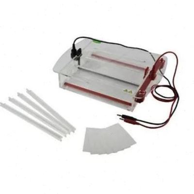 JY-SP7A醋酸纤维膜电泳槽载玻片电泳纸电泳自动断电带冷却装置