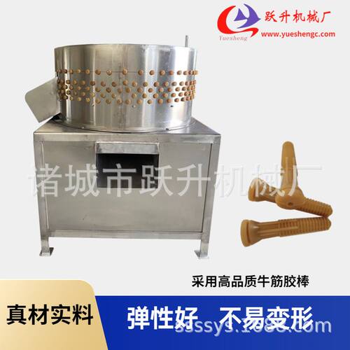70型立式鸽子脱毛机 乳鸽去毛机  鸡仔脱毛机备跃升机械B015