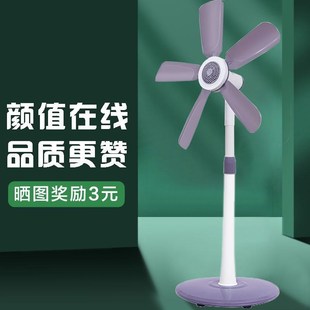风扇出租屋五叶式 落地扇办公室迷你小型 静音落地式 电风扇家用立式