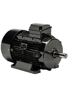 巴西WEG拉斐特LAFERT拉莫斯LAMMERS HOyER霍尔三相异步交流电动机