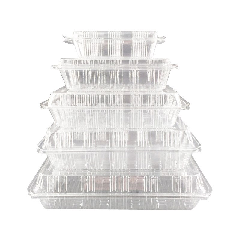 整箱一次性寿司盒紫菜卷肉卷饺子包子蛋糕透明打包盒子水果糕点盒