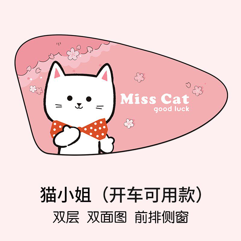 汽车遮阳帘主驾驶窗帘防晒隔热侧窗双层车帘女士开车磁吸式遮光帘