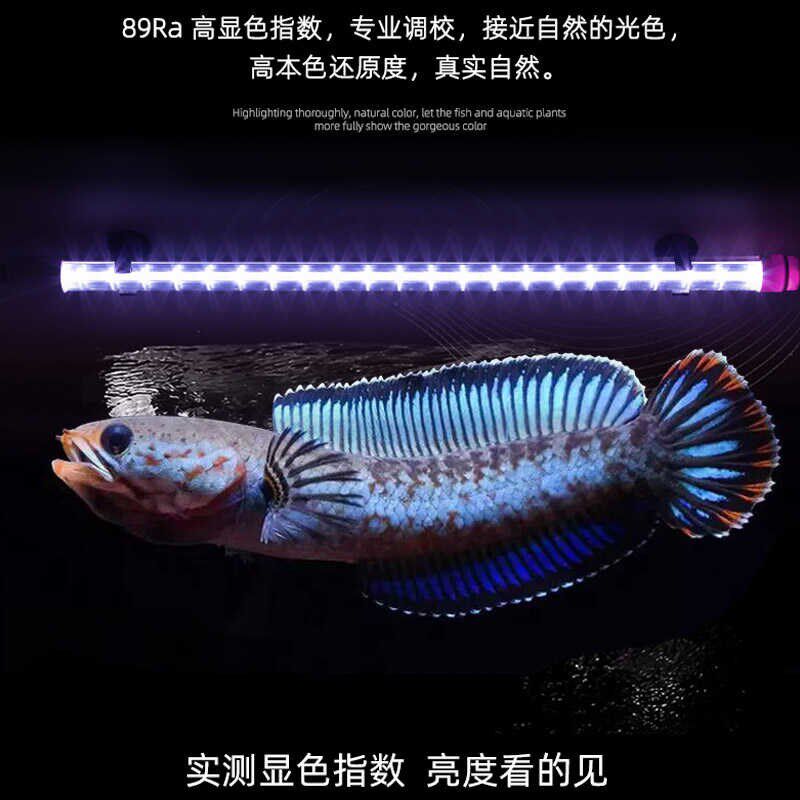 蓝白混合光银龙雷龙三湖慈鲷蝴蝶鲤专用观赏超白光鱼缸灯led防水