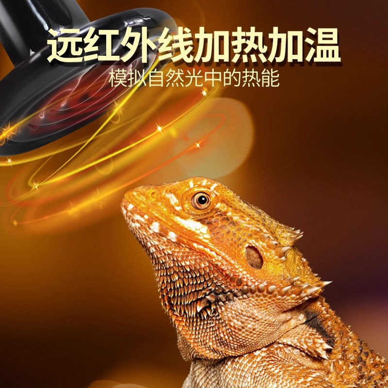 爬宠陶瓷加热灯泡爬虫宠物乌龟刺猬陆龟蜥蜴红外保温加温取暖温控