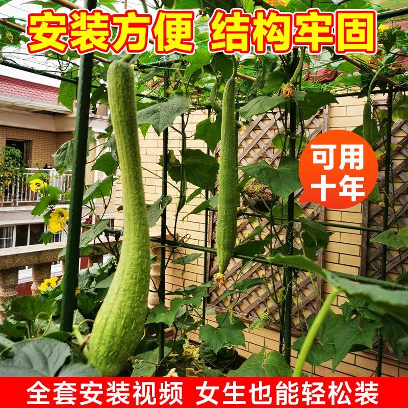 黄瓜爬藤架竹竿葡萄豆角爬藤网免安装花架爬藤支架杆楼顶种菜架子