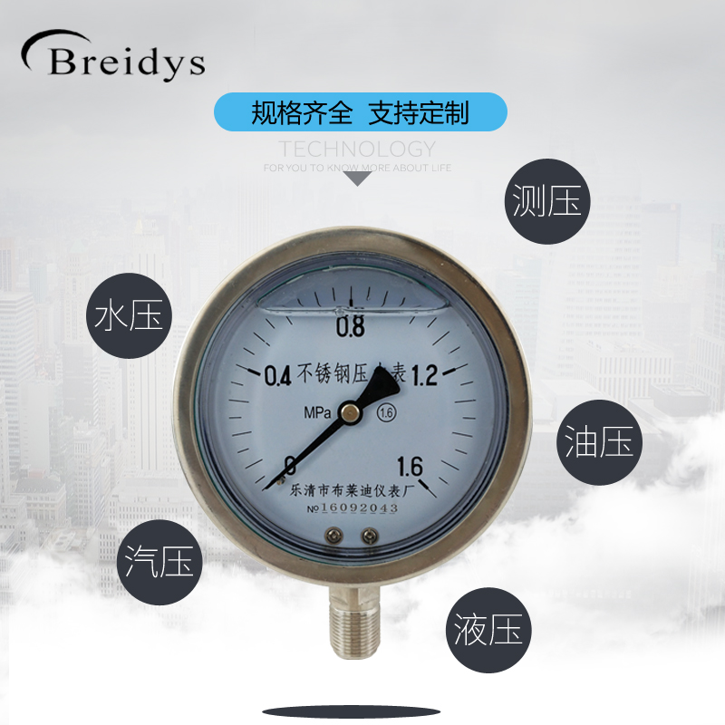 全不锈钢压力表YN100BF耐震压力表通用压力表0-1.6/100mpa多量程