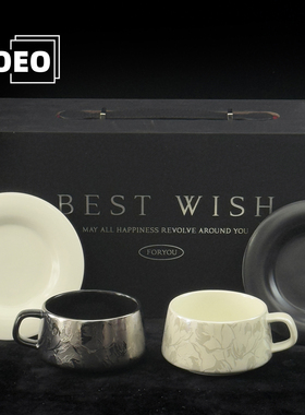 ZOEO「银霜」2026新款咖啡杯套装高级感情侣对杯送礼装好看的杯子