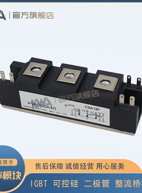 PWB60 80 100 130 150 200A30-40电焊机可控硅模块FRS300BA50-70