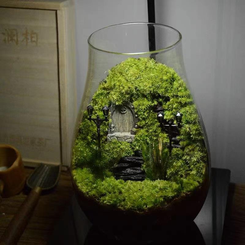 苔藓微景观生态瓶 diy水滴斗鱼瓶 水培植物玻璃瓶 室内绿植摆件