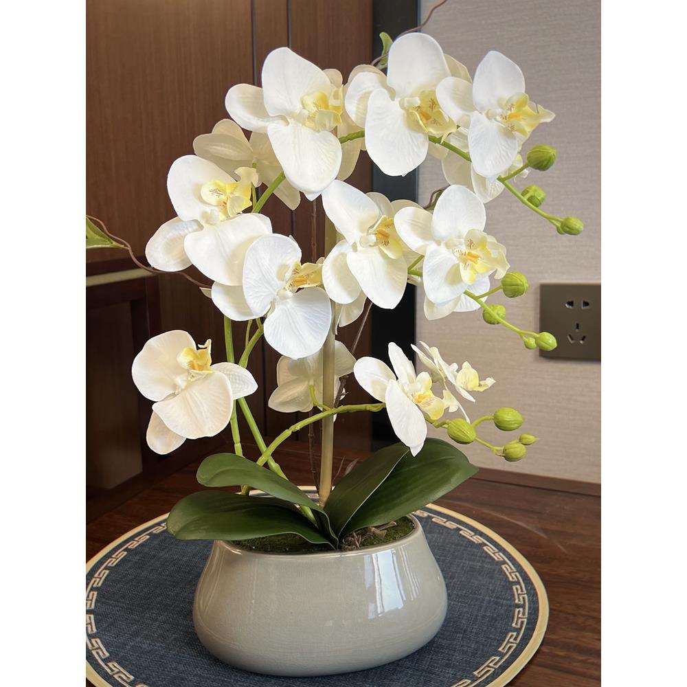 仿真花蝴蝶兰套装手感假花盆栽客厅餐桌摆放绢花中式陶瓷花卉摆件