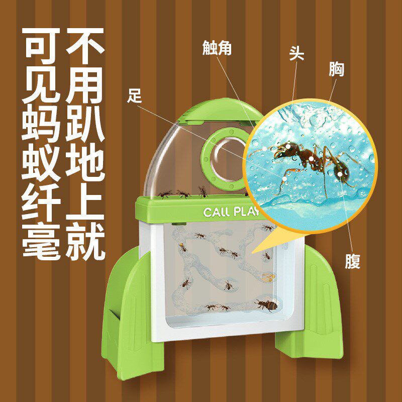 科答鸭蚂蚁生态箱城堡活体宠物蚂蚁工坊学生科学实验生物观察教学