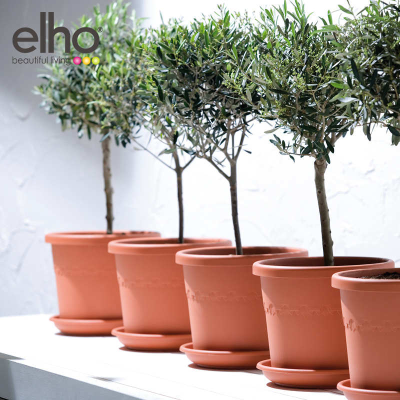 虹越爱好elho阿尔加塑料种植盆绣球月季玫瑰种植花盆换盆大口径