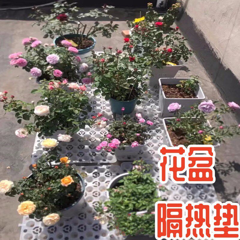 月季隔热垫顶楼花盆隔热垫耐高温楼顶隔热板屋顶花园绿化种排水蓄