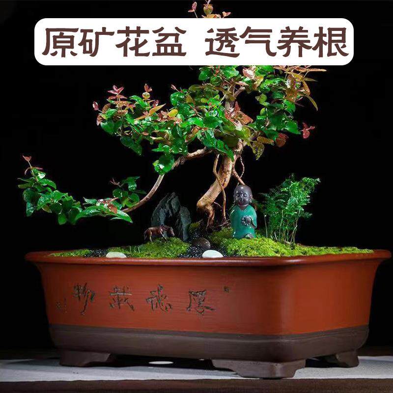长方形马槽花盆盆景盆庭院阳台紫砂大号长条马槽陶瓷花盆特价清仓