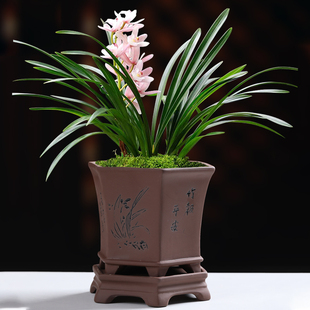 兰花盆室内家用文竹绿植盆栽 花盆陶瓷紫砂粗陶透气带托盘古典个性