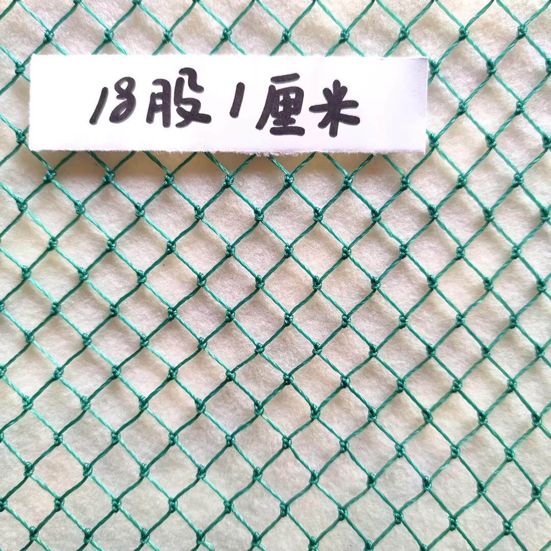 12股1厘米养鸡网渔网养殖网鱼网护栏网防护网菜园围栏网尼龙网子