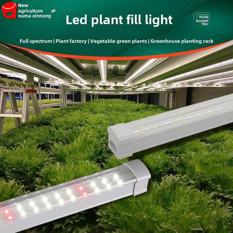 蔬菜填充灯，全光谱Led植物家用反熟悉室内花卉模彷阳光生长灯